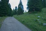 Après un peu de marche sur la route, on emprunte le chemin pour la cabane du Carroz