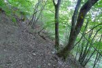 Le Reposoir, notez le petit panneau carré jaune/vert sur l'arbre de droite. Voir mes photos en fin de balade pour plus de détails