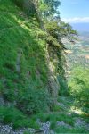 Un sentier part en devers sur la gauche (où je pars), un autre continue dans le bas du Dévaloir de la Mule.