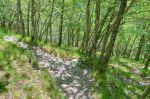 De mon côté, descente pour la Vire Bütikofer. A droite ici.