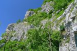 Depuis ce panneau, pour le Chavardon  il faut monter à droite. Mur des Limaces