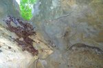 La chaine pour atteindre le fond de la Grotte Juillard