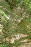 Je retrouve les escaliers où j'ai fait demi-tour à la montée.