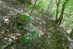 Le cairn est caché par deux arbrissaux quand on monte