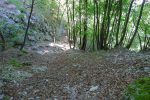 Descente par un chemin pentu, mais plus agréable que mes détours !