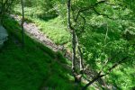 Le fond de la Gorge du Sarrot