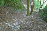 Gorge de l'Evorse. Le sentier descend fort