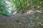 On quitte la Gorge de l'Evorse, par un chemin sur la gauche.