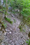 Puis un passage en forêt