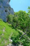 A nouveau sous les falaises
