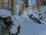 Passage en forêt, un brin raide.