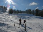 On arrive au pied de la clairière de Chaux que nous remontons.