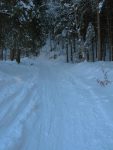 On emprunte la route pour un long moment, surtout en forêt.