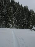 Je monte dans la forêt, pour Les Brys