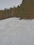 On rentre dans la forêt