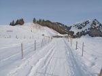 La ferme Le Riaux, je suis étonné que le fils barbelés soient laissés en hiver.