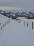 Et c'est reparti par la route, qui est bien enneigée ici ! A ces fils barbelés ! Les Cergnes 1234m