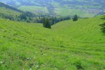 Puis hors piste devant Les Chenalettes