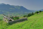 Ruine, mentionnée sur la carte, au S de Couchard