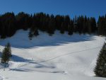 On à toujours les peaux, mais on se laisse glisser pour une dernière montée à travers la forêt, direction Les Joux.