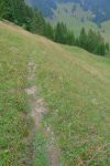 Puis on retrouve le chemin