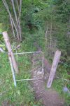 Retour en forêt