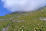 Brume sur Brenleire, l'arête de la montée est à gauche