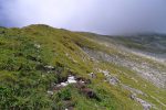 Début de la pente raide sur l'arête