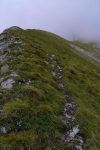Terrain toujours gras