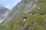 Quelques virages au bord du vide