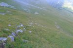 Enfin un terrain doux !