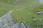 Retour par la route d'alpage