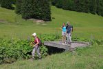 Nous passons ce pont (P1371), pour couper court dans le paturage