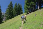 C'est reparti, le chemin monte doucement et les marques sont peu visibles