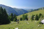Pas de traces dans ce secteur