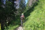 Un passage plutôt tranquille en forêt