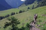 Nous sortons de la forêt pour une large clairière