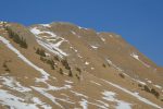 Centre de la photo : environ 40 chamois
