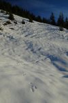 A chacun sa trace