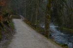 Petit jogging pour remonter le courant de l'Orbe. De l'autre côté, il y a la pisciculture où même si vous êtes mauvais pécheur, les truites affamées se jetteront sur votre hameçon !