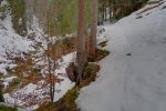 Chemin d'été qui longe la Meilesgrundbach.
