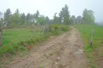 Nous sortons de la forêt