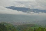 Munster
