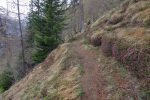 Le sentier se poursuit, avec la bruyère en fleur