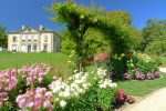 Des lilas. Le Botanic Shop au fond