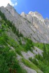 Chemin montant pour Oberbergpass