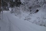 Le ruisseau le Sattelbach