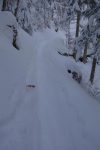 Long passage en forêt
