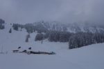 Dans la poudreuse