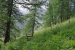 On arrive à la sortie de la forêt, près d'Euzanne